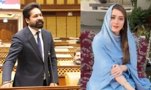 Probe finds PML-N MPA Saqib Chadhar guilty of harassing actor Momina Iqbal, NCCIA official tells Lahore court